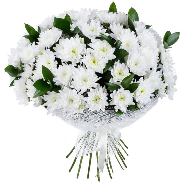 Букет из белых хризантем